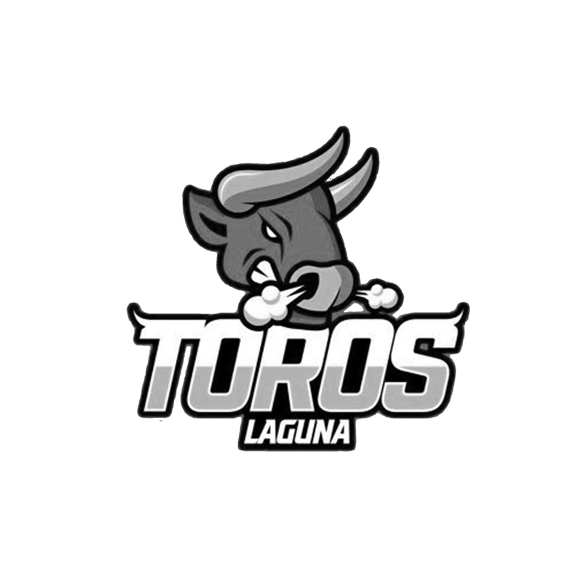 toros-laguna