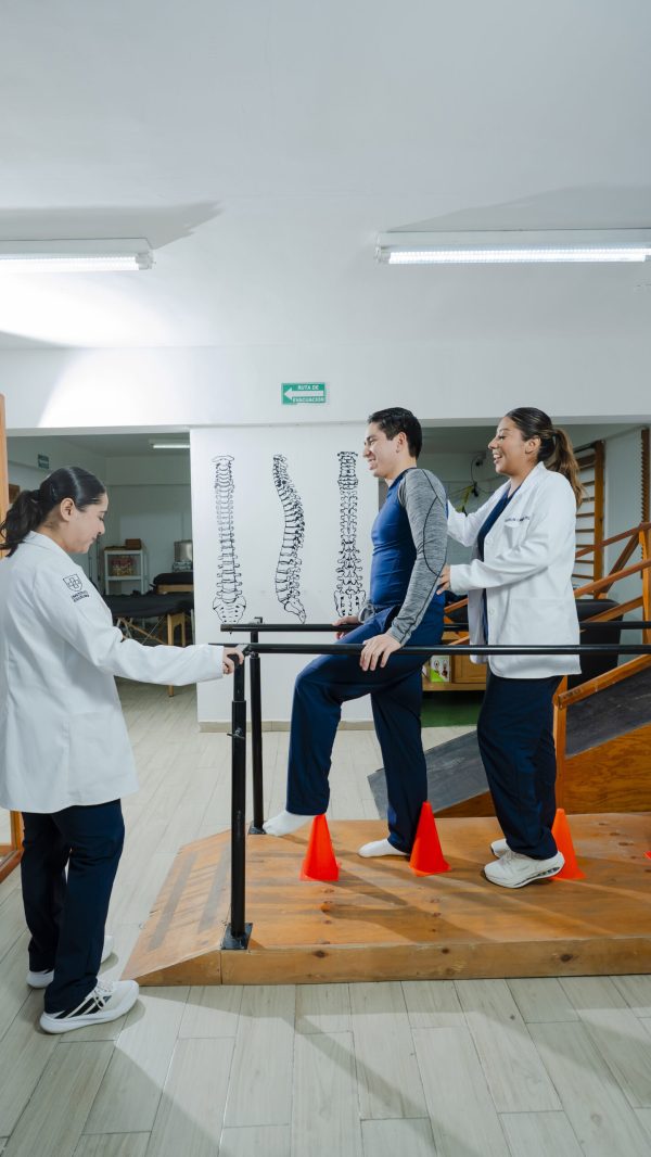 fisioterapia 3